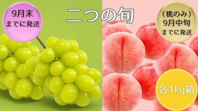 400年の歴史と技術が生んだ 山梨の逸品 シャインマスカット 希少