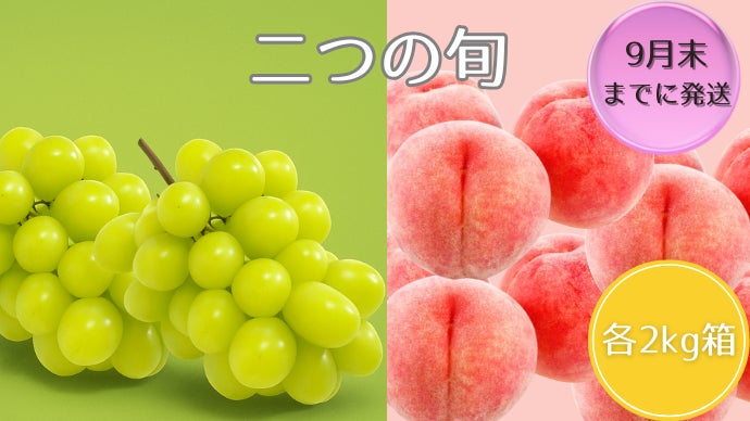 400年の歴史と技術が生んだ 山梨の逸品 シャインマスカット 希少