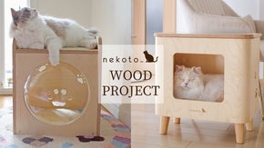 大型猫ちゃん必見！飼い主さんも一緒に楽しめるnekoto_木製ハウス2タイプ！