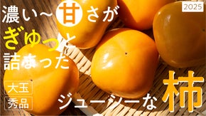 【フルーツ大国・和歌山県紀の川市から農家直送】こだわりのあま〜い、きよ農園の柿！