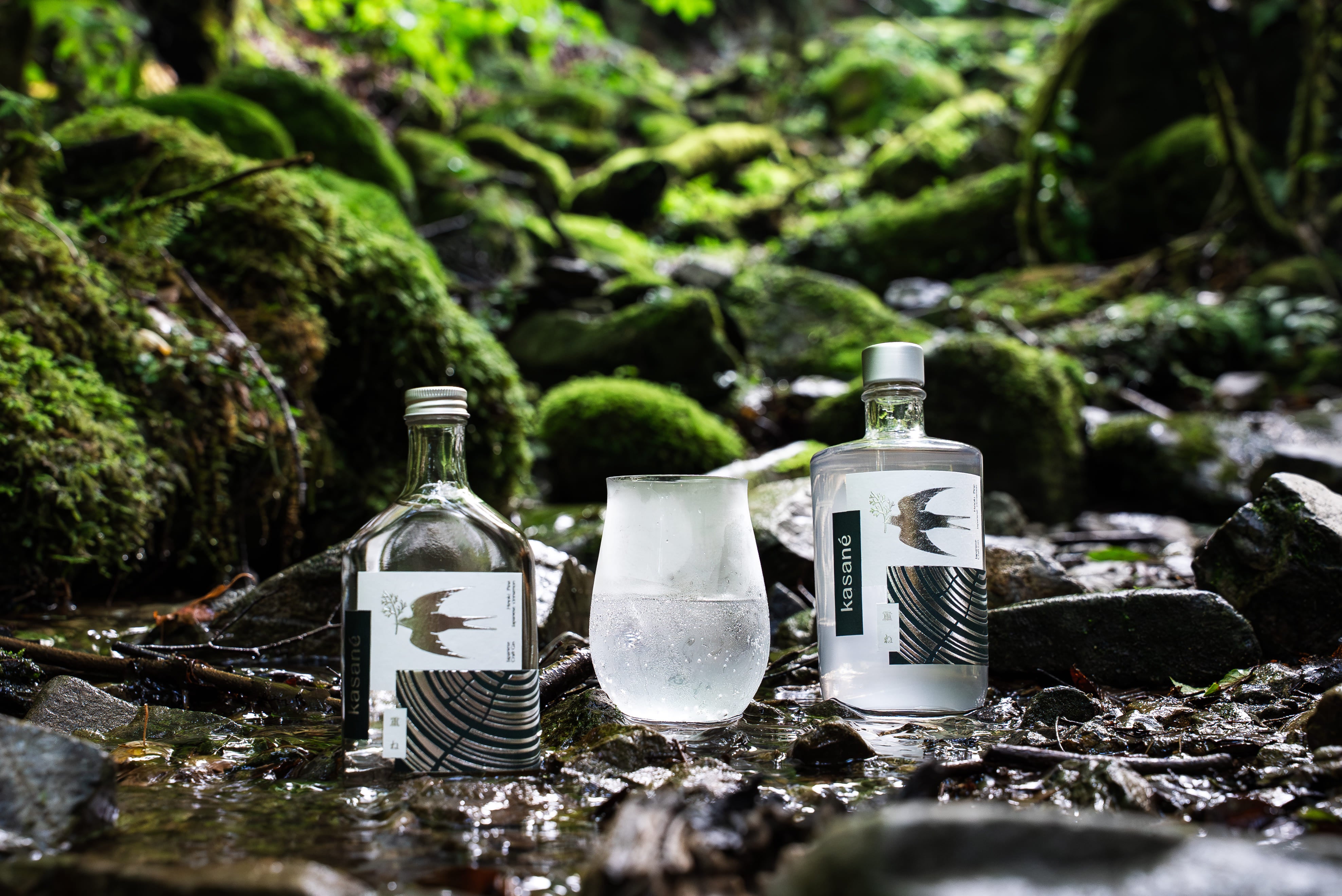 detail_47996_17541390442050.