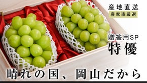 晴れの国、岡山の陽光が育てた奇跡の一房。“大切な人に贈る”シャインマスカット