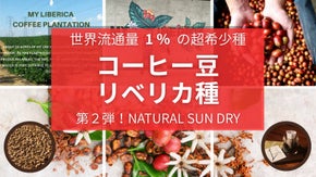 【超希少】スペシャリティー級品質のリベリカ種コーヒー第2弾 新たな精製豆が登場！