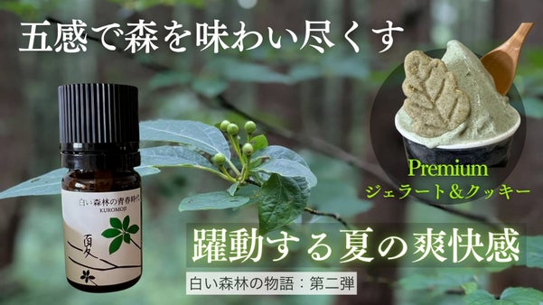 クロモジの魅力満載！深緑の生命力あふれる爽やかな香りとスイーツ｜白い森の物語:夏