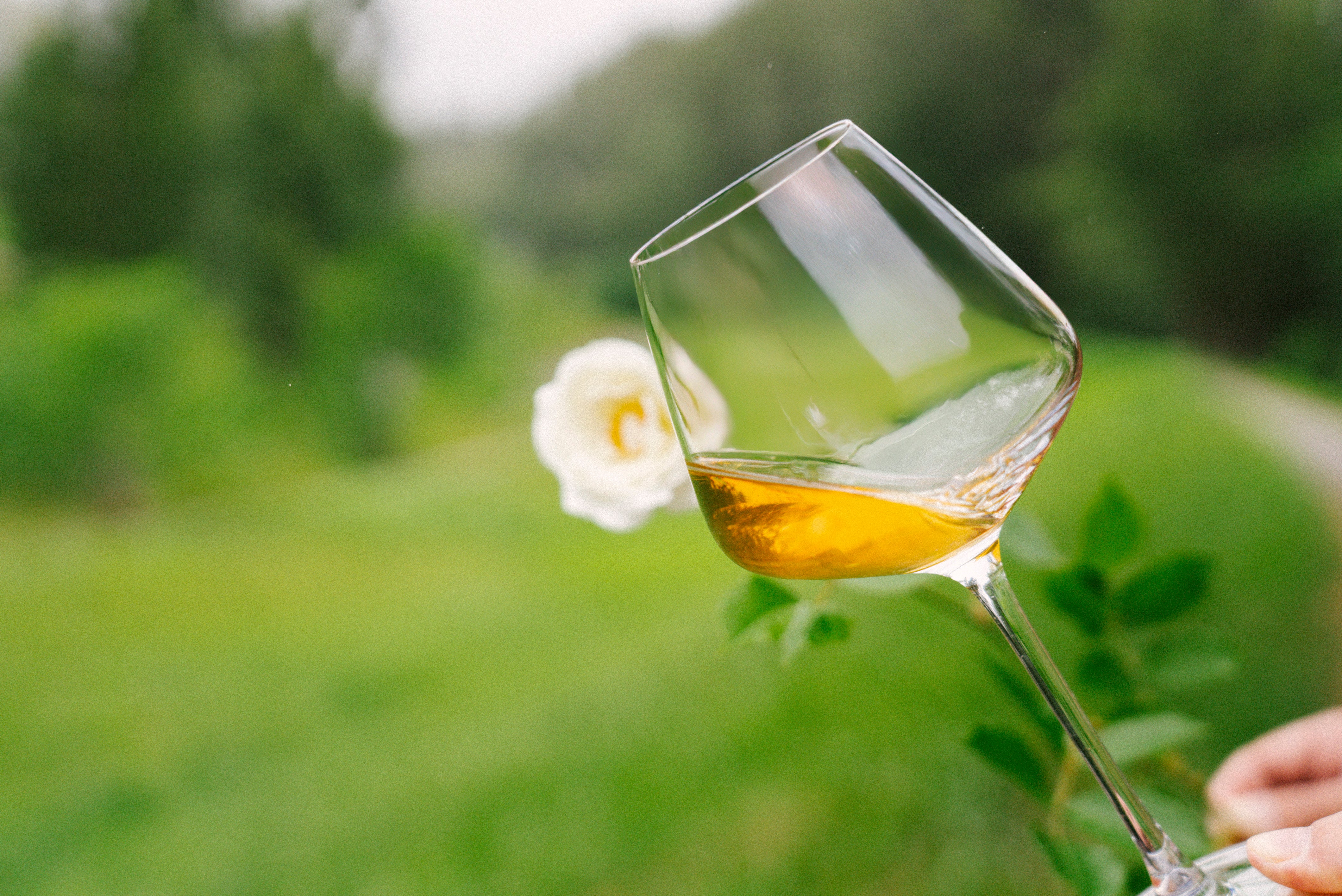 北海道石狩の豊かな自然が育んだ『歩留まりなんと2割！超希少アイス