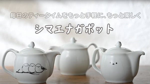 ポットON シマエナガ　 有田焼 珈琲緑茶　ポット　３柄から選べる