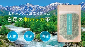 希少な和ハッカ茶を信州・白馬から｜北アルプスの清らかな水で育った爽やかな清涼感！