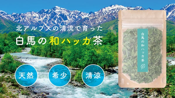 希少な和ハッカ茶を信州・白馬から｜北アルプスの清らかな水で育った爽やかな清涼感！