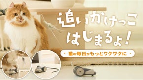 韓国発！自動ランダム走行で猫を夢中に。軽量高耐久の次世代アクティブスマートトイ。