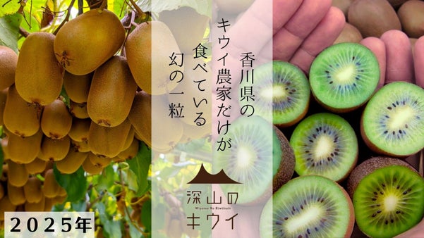 極わずかしか採れないまぼろしのキウイ！手で割れる「さぬきキウイっこ」２０２５年