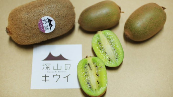 極わずかしか採れないまぼろしのキウイ！手で割れる「さぬきキウイっこ