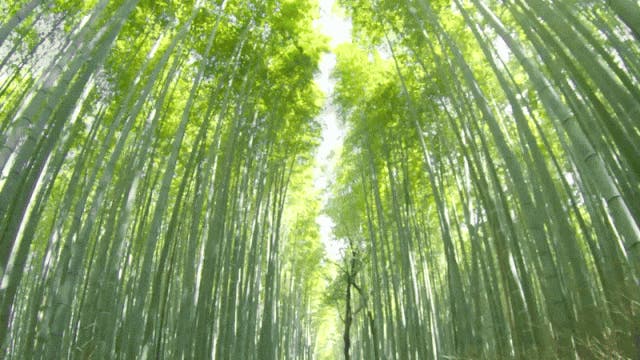 竹繊維冷却マット 竹繊維冷却マット