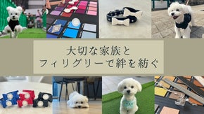 想いを結ぶ。世界で一つのフィリグリーで紡ぐ、きずなと輝きのペットジュエリー