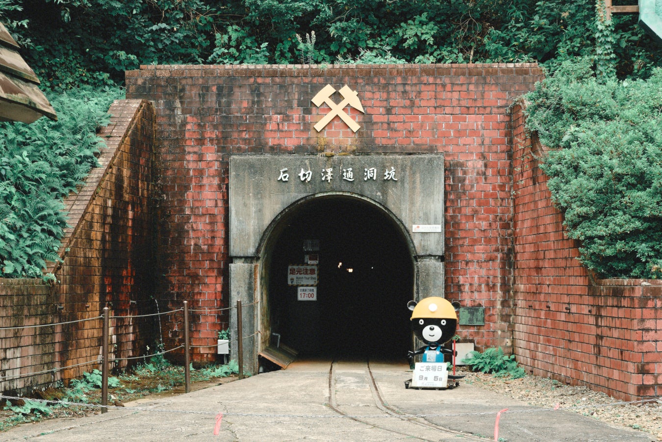 秋田の鉱山地下深くで5年の時を経て解禁。坑道で熟成させた奇跡の