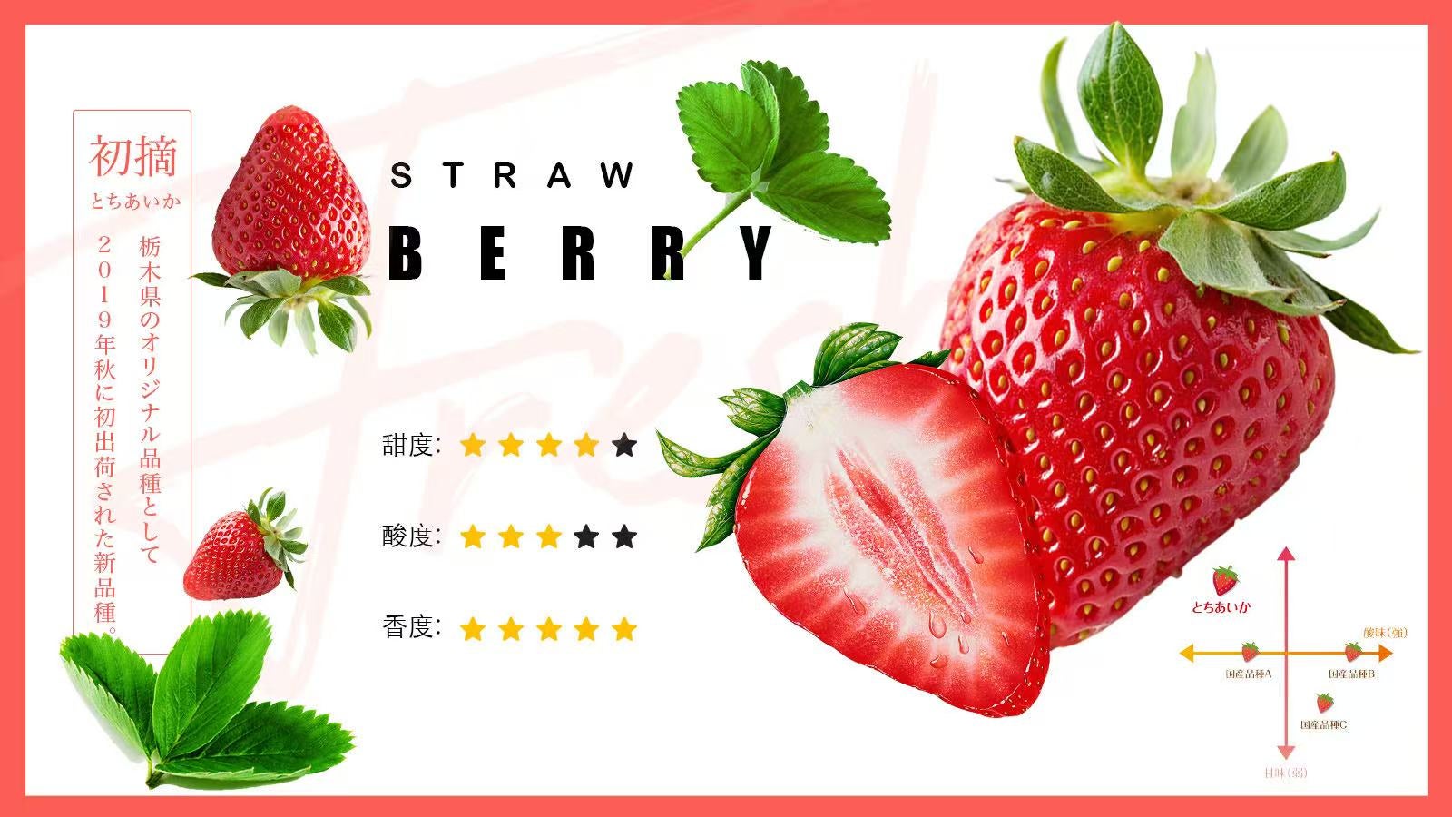 栃木の天然山水が育む、 初摘み苺「とちあいか」限定販売｜マクアケ