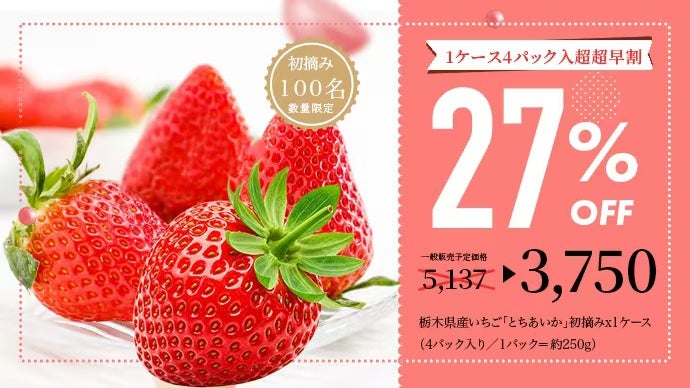 栃木の天然山水が育む、 初摘み苺「とちあいか」限定販売｜マクアケ
