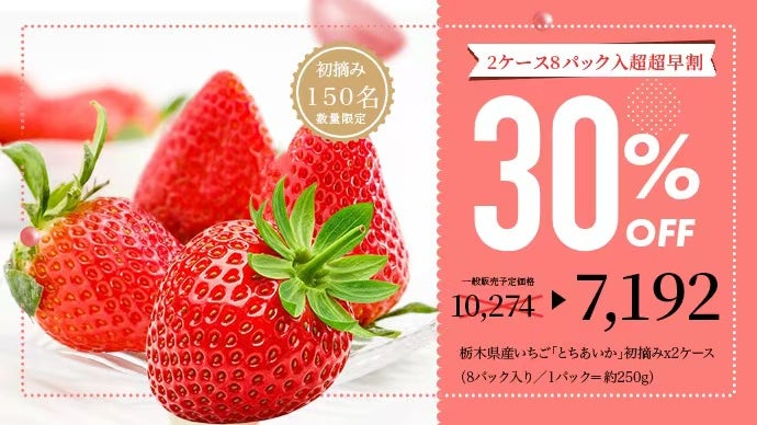 栃木の天然山水が育む、 初摘み苺「とちあいか」限定販売｜マクアケ