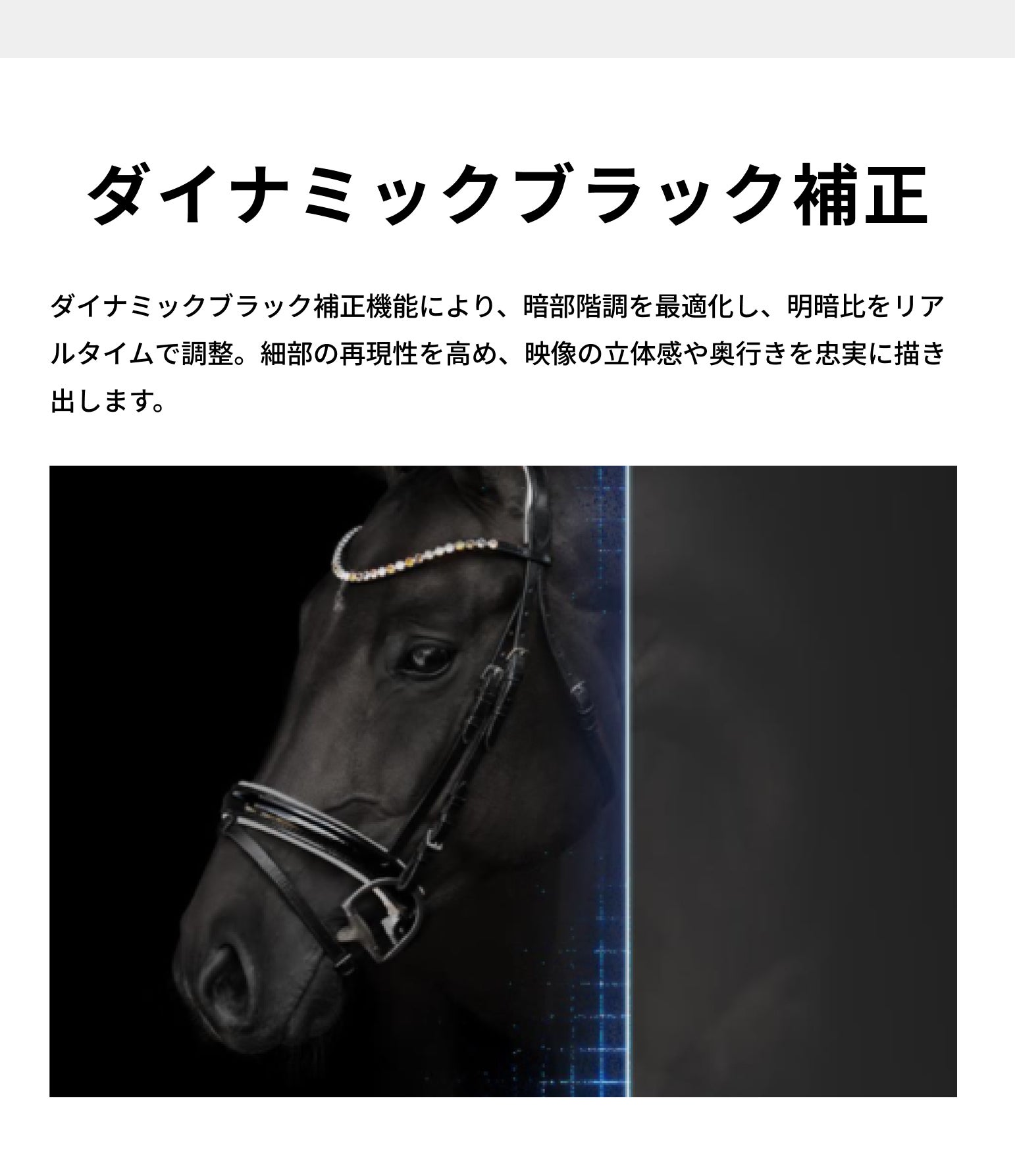 Aladdin Poca｜最大200インチ360°回転。自由すぎる