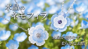 【小さな空を贈る】ネモフィラの物語を纏う、フロスティクリスタルジュエリー