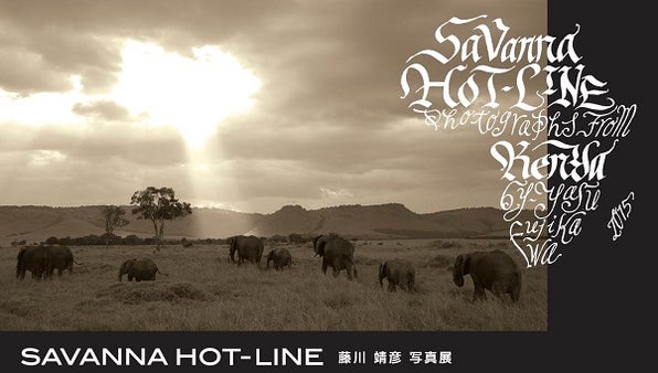 人間国宝が創る手漉き和紙でサバンナの世界を表現したい。和紙で魅せる写真アート展。