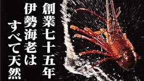 創業75年の老舗が横浜初出店。港の絶景を眼下に、専門店の活伊勢海老フルコースを。