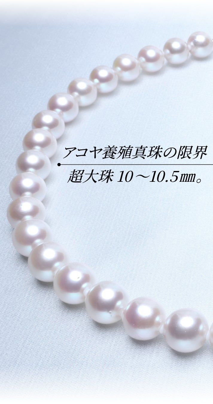 おせち【テリ最強✨超大珠✨極美品】 あこや真珠 ネックレス 8.0-8. 最上級の巻き※受け継がれる逸品】アコヤ真珠ネックレスセット限定10