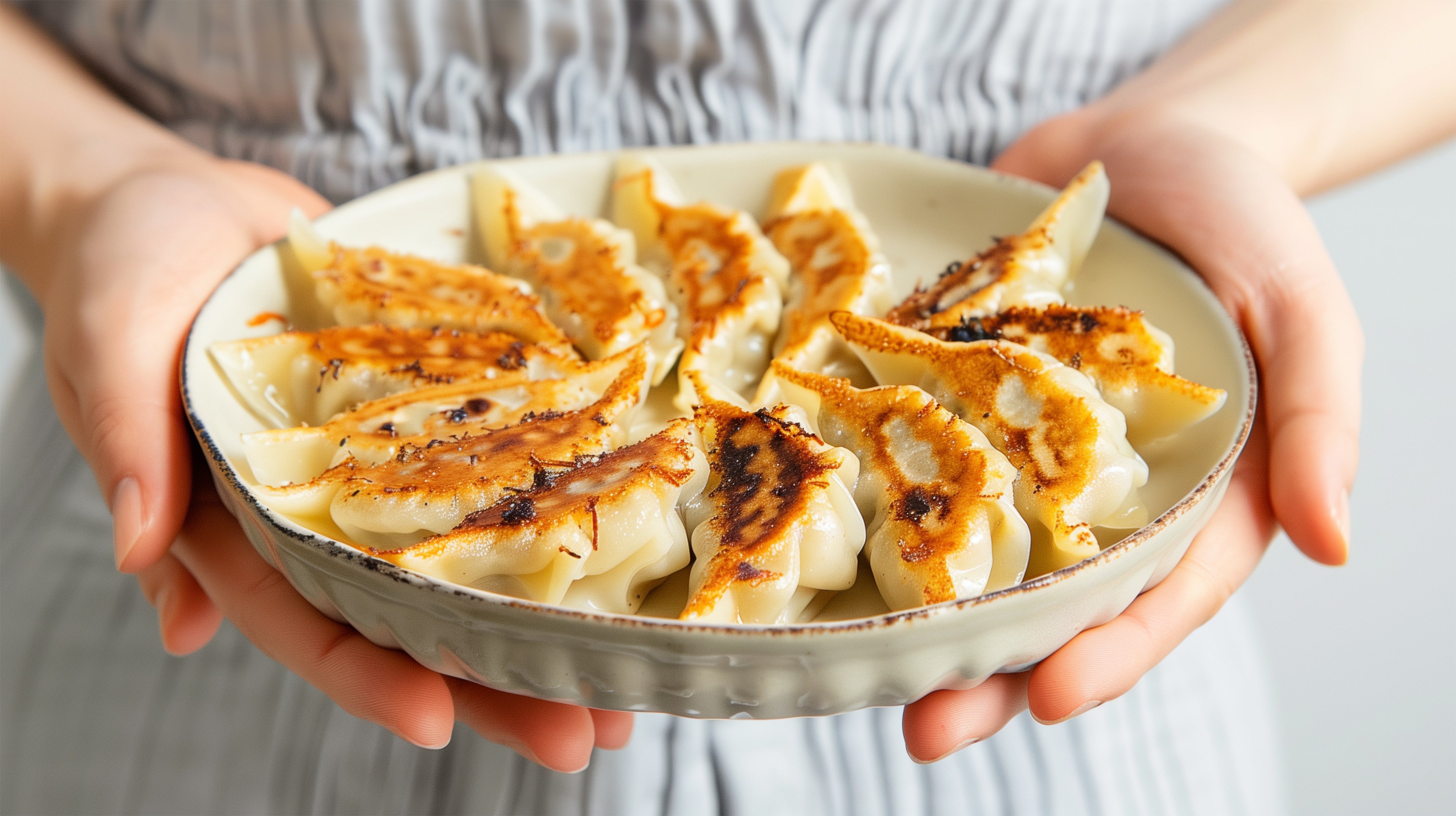 餃子 GIFT street ギフトストリート | 日本テクノ株式会社 / 冷凍生餃子