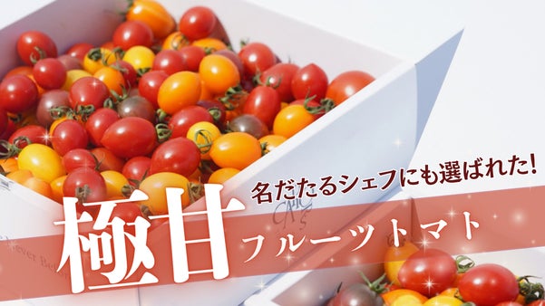名店のシェフ達が選んだ、今話題のフルーツトマトを山梨からお届け