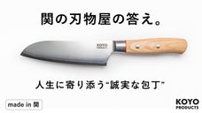 関の刃物屋の答え。形状、切れ味、鋼材、使いやすさを追求した誠実な三徳包丁