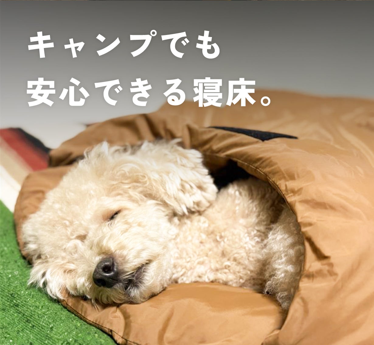 愛犬にもMy寝袋を！飼い主と愛犬がぬくもりを共有できる2way寝袋