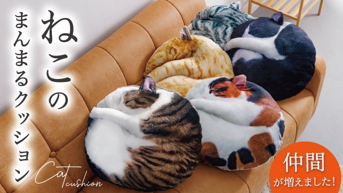 まるで猫！？な『necomaru〜ねこのまんまるクッション〜』新作キジシロ