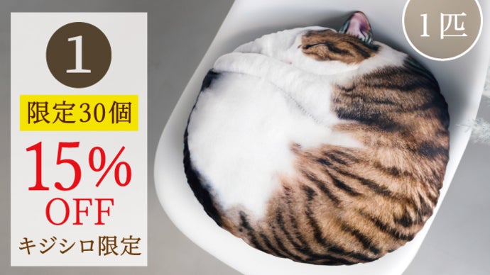 まるで猫！？な『necomaru〜ねこのまんまるクッション〜』新作キジシロ