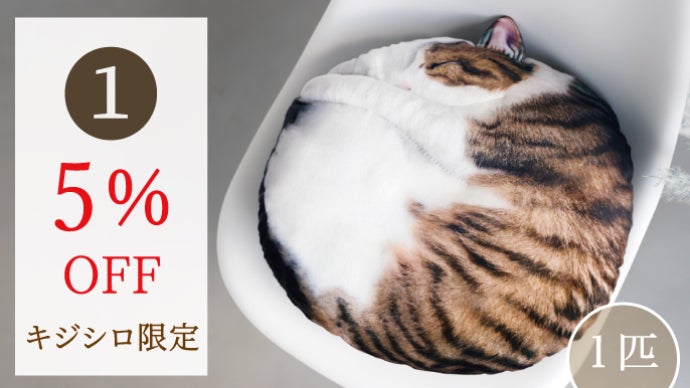 ぎねこ丸 まるで猫！？な『necomaru〜ねこのまんまるクッション〜』新作キジシロ