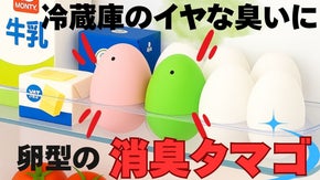 【冷蔵庫の脱臭】タマゴの型の消臭タマゴ
