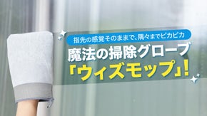 窓、鏡、ガラス、キッチン、バスルームまで！魔法の掃除グローブでピカピカに！