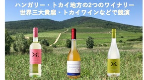 ハンガリー・トカイ地方の2ワイナリーから、クリスマスにぴったりのトカイワイン各種