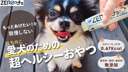 ついつい、おやつをあげすぎちゃう飼い主さんへ 低カロリーおやつZERO