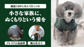 神の祝福のような極上の温もりを纏う一枚。50年の職人が編む100％カシミヤニット