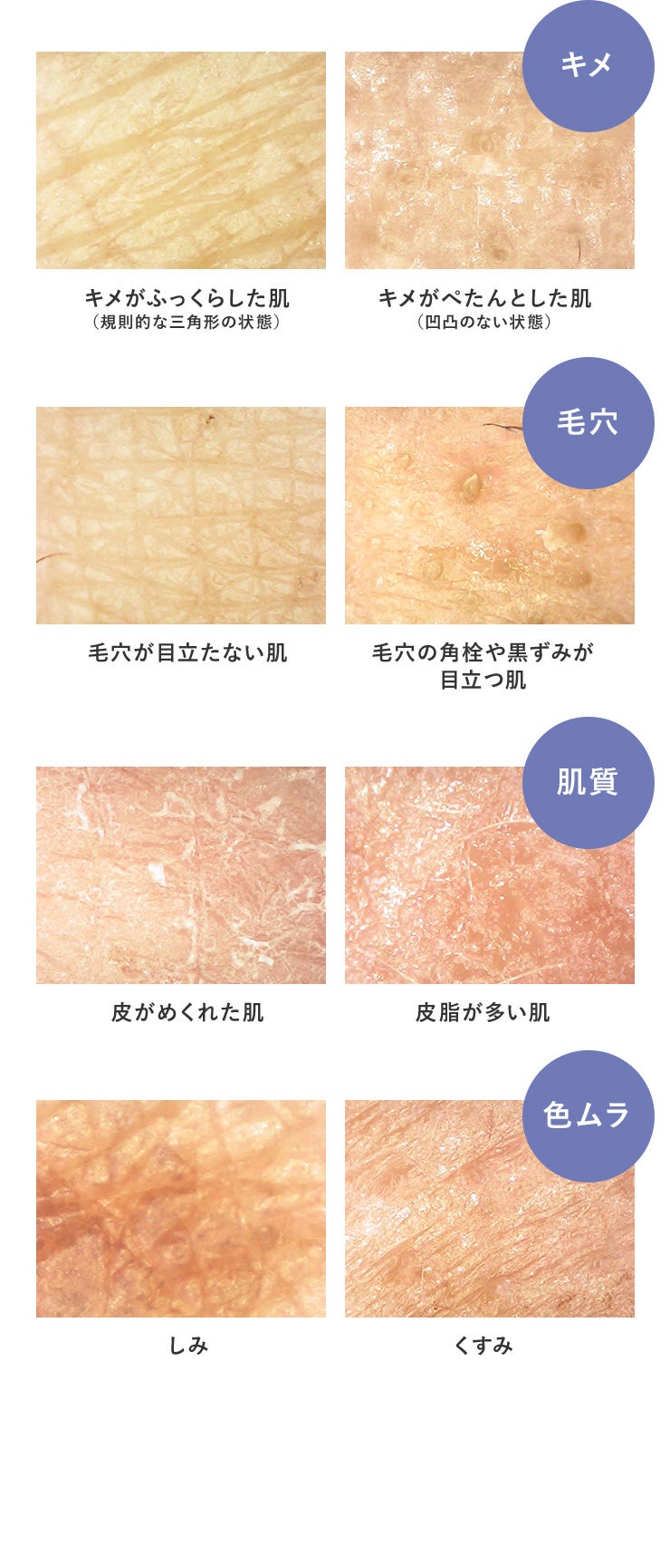 毛髪・毛穴・お肌の変化をスマホで確認！毎日のケアを楽しくする