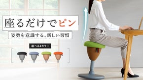 座るだけで姿勢をサポート- 美姿勢へ導く　前後左右360度回転する魔法の椅子