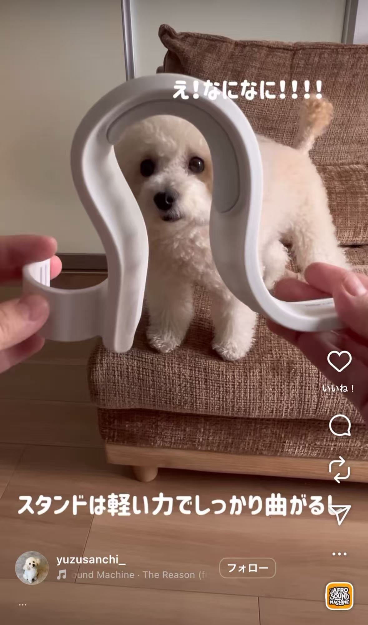 TESCOMから犬猫用ドライヤーが新登場！ハンズフリードライヤー｜HUG