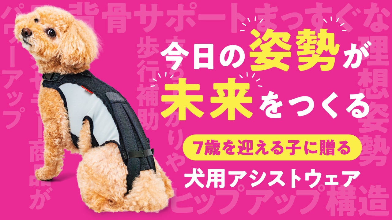 Makuake｜【今日の姿勢が、未来をつくる。】7歳を迎える子に贈る犬用