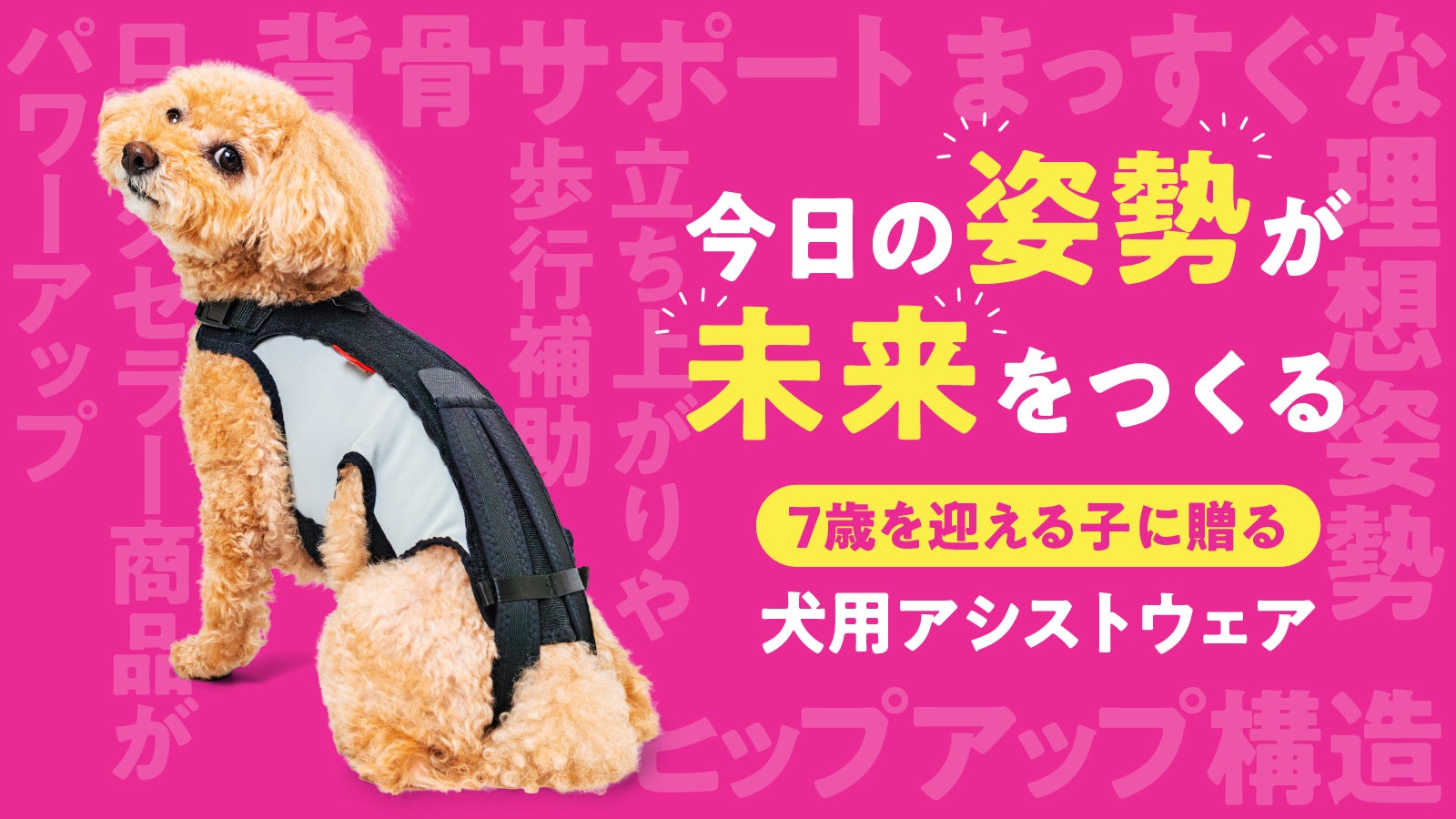 Makuake｜【今日の姿勢が、未来をつくる。】7歳を迎える子に贈る犬用
