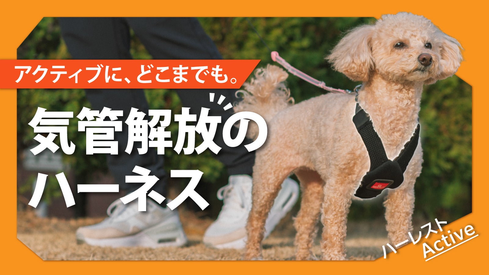 Makuake｜【今日の姿勢が、未来をつくる。】7歳を迎える子に贈る犬用