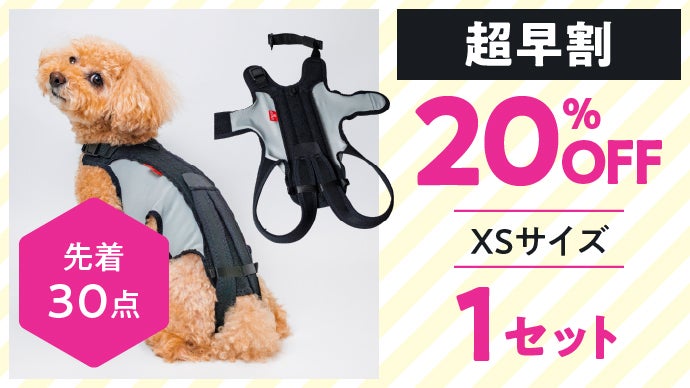 今日の姿勢が、未来をつくる。】7歳を迎える子に贈る犬用アシスト