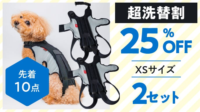 今日の姿勢が、未来をつくる。】7歳を迎える子に贈る犬用アシスト
