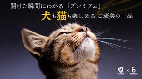 【新発想】300℃高温ローストで仕上げた、上質で栄養豊かなプレミアムおやつ