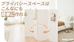 ワンルームが一瞬でツールームに！【折りたたみ式】ペーパー間仕切りパネル