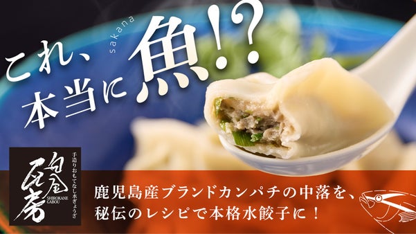 魚が足りないあなたに食べてほしい、モチモチ皮と新鮮なカンパチが作るSDGs水餃子