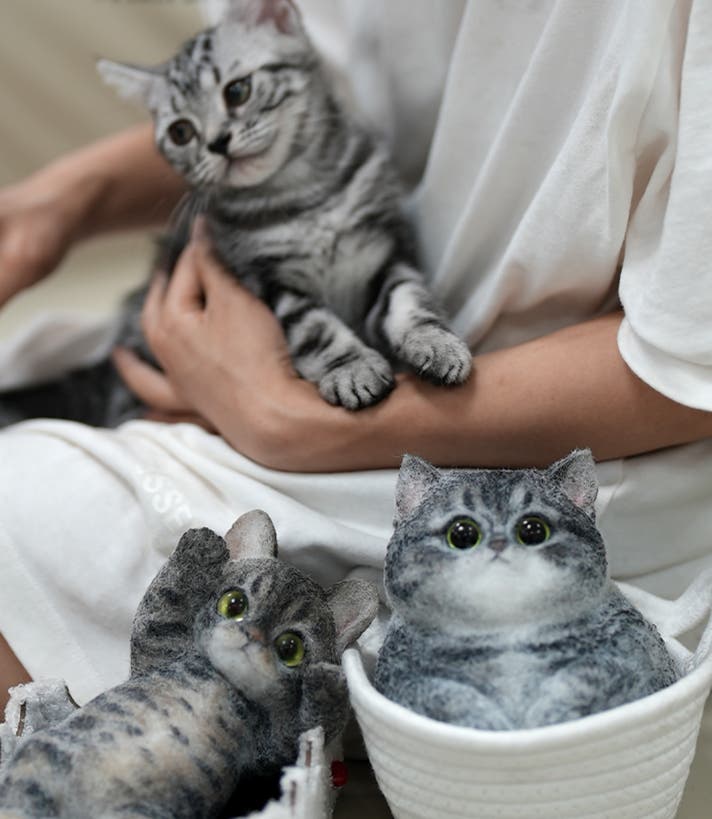 自分だけの色に染める、世界に一匹のハンドメイド愛猫。「マランニャン